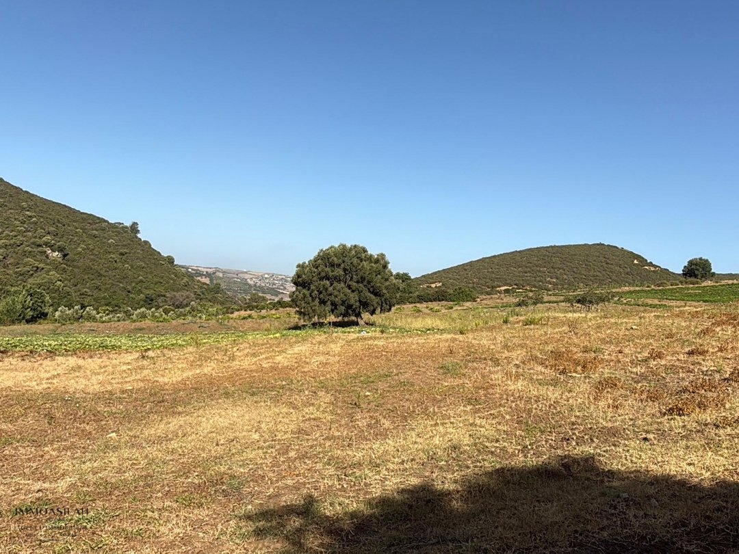 أرض 12 هكتار 6231 م² زراعية - Photo 9