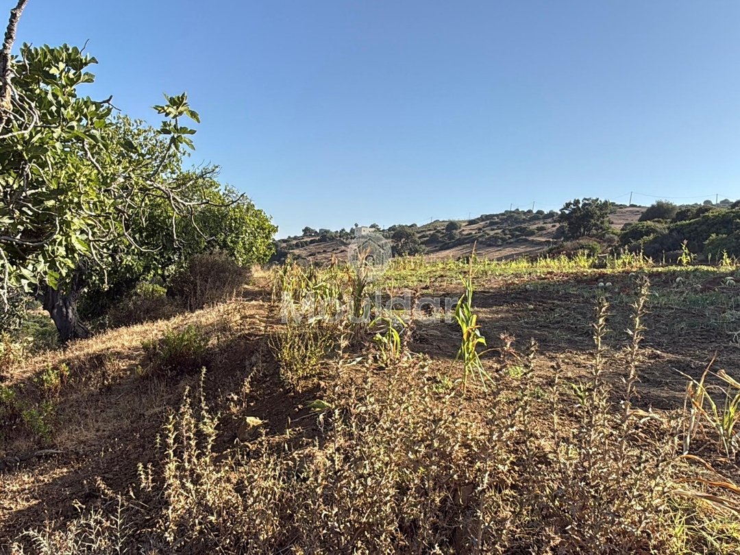 Γεωργικές εκτάσεις στην Ασίλα: Αξιοποιήστε μια Μοναδική Ευκαιρία - Photo 1