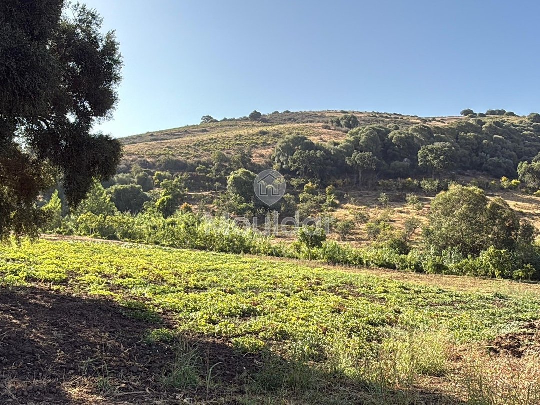 Γεωργικές εκτάσεις στην Ασίλα: Αξιοποιήστε μια Μοναδική Ευκαιρία - Photo 4