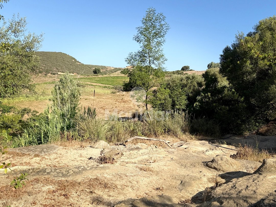 Γεωργικές εκτάσεις στην Ασίλα: Αξιοποιήστε μια Μοναδική Ευκαιρία - Photo 10