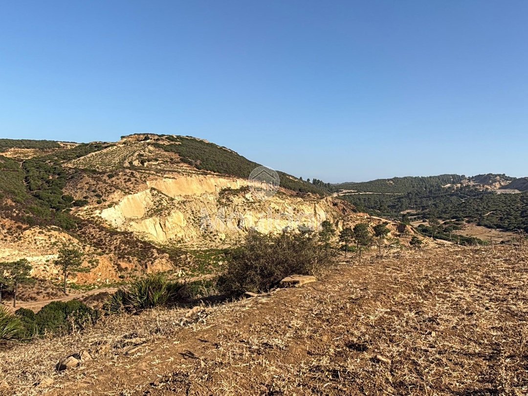 Γεωργικές εκτάσεις στην Ασίλα: Αξιοποιήστε μια Μοναδική Ευκαιρία - Photo 2