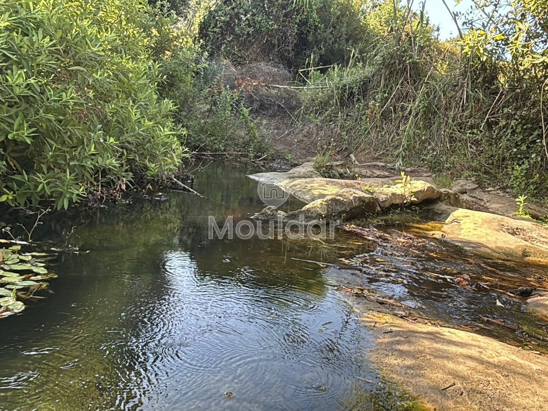 Γεωργικές εκτάσεις στην Ασίλα: Αξιοποιήστε μια Μοναδική Ευκαιρία - Photo 6