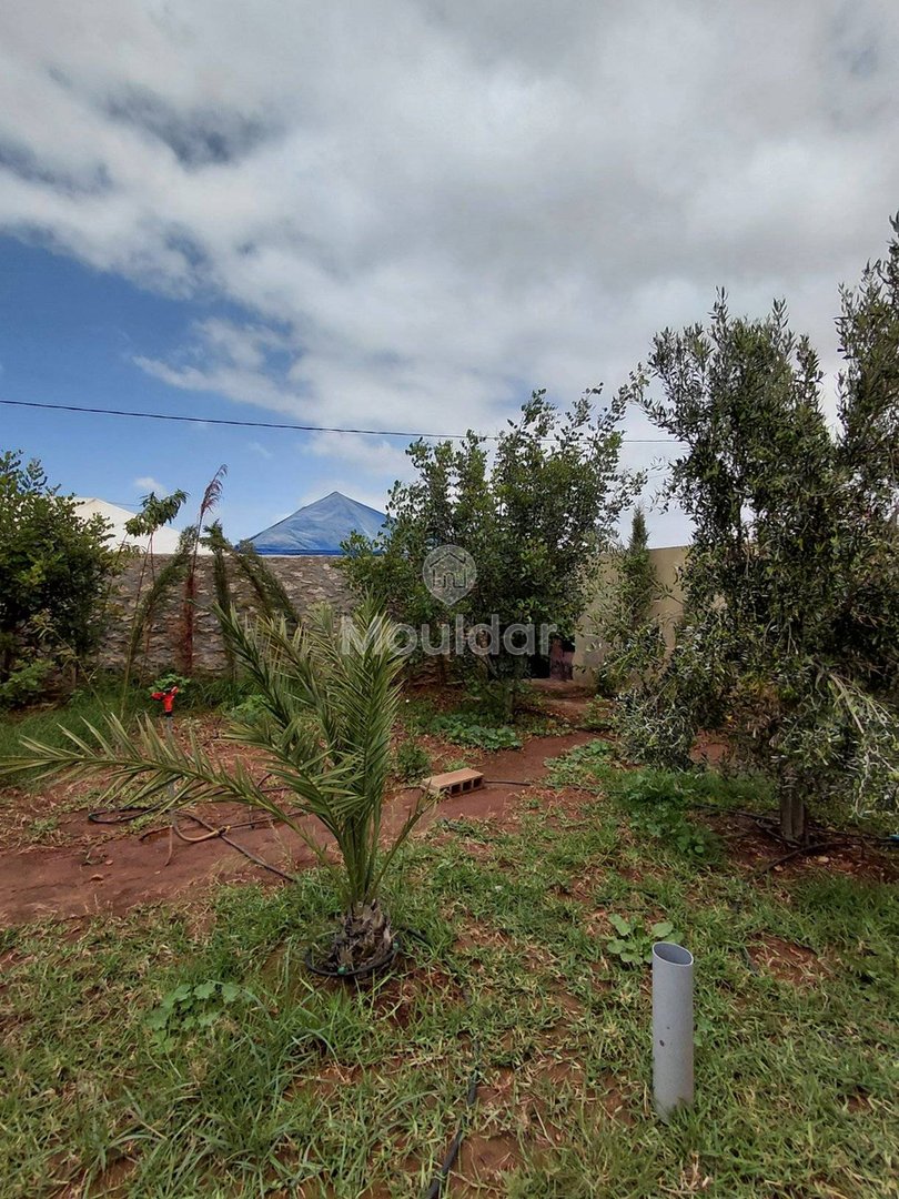 فيلا فسيحة للإيجار في الصويرة - هروب مثالي - Photo 21