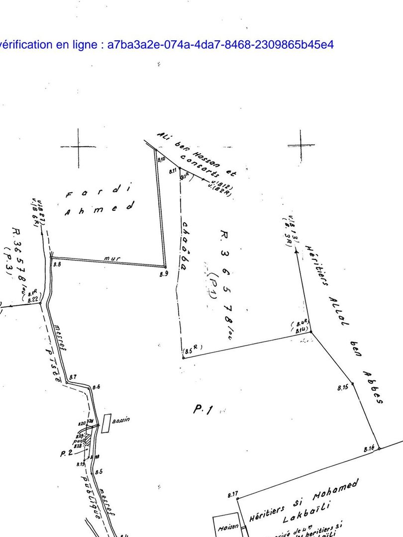 أرض زراعية للبيع في مراكش - الزازوزية، 48,000 متر مربع - Photo 2