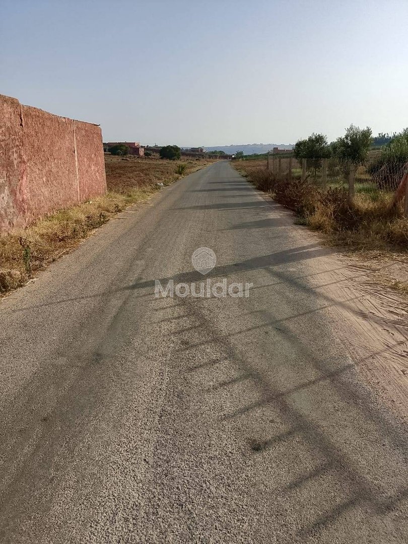 أرض زراعية للبيع في المحمدية - 1000م² - Photo 3