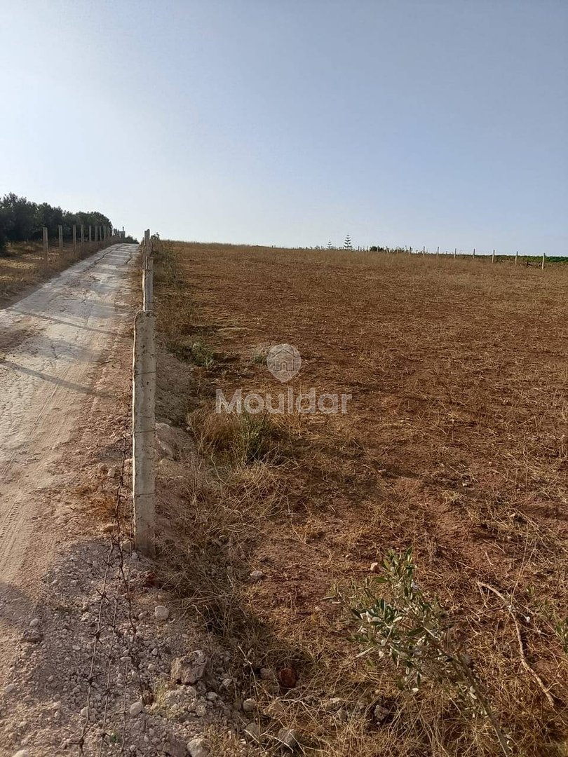 أرض زراعية للبيع في المحمدية - 1000م² - Photo 2