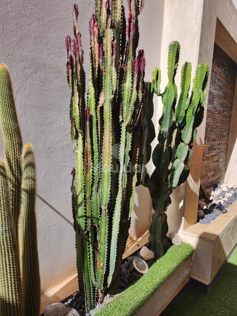  Duplex Incantevole a Marrakech Guéliz: Un soggiorno indimenticabile con 3 camere - Photo 22