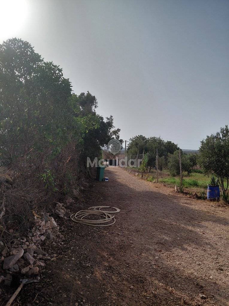 منزل للإيجار في الصويرة: هدوء وراحة - Photo 26