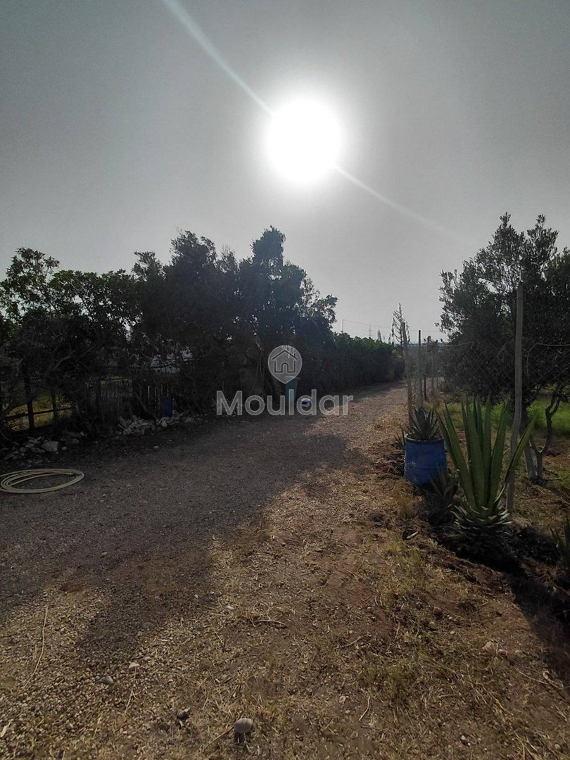 منزل للإيجار في الصويرة: هدوء وراحة - Photo 19