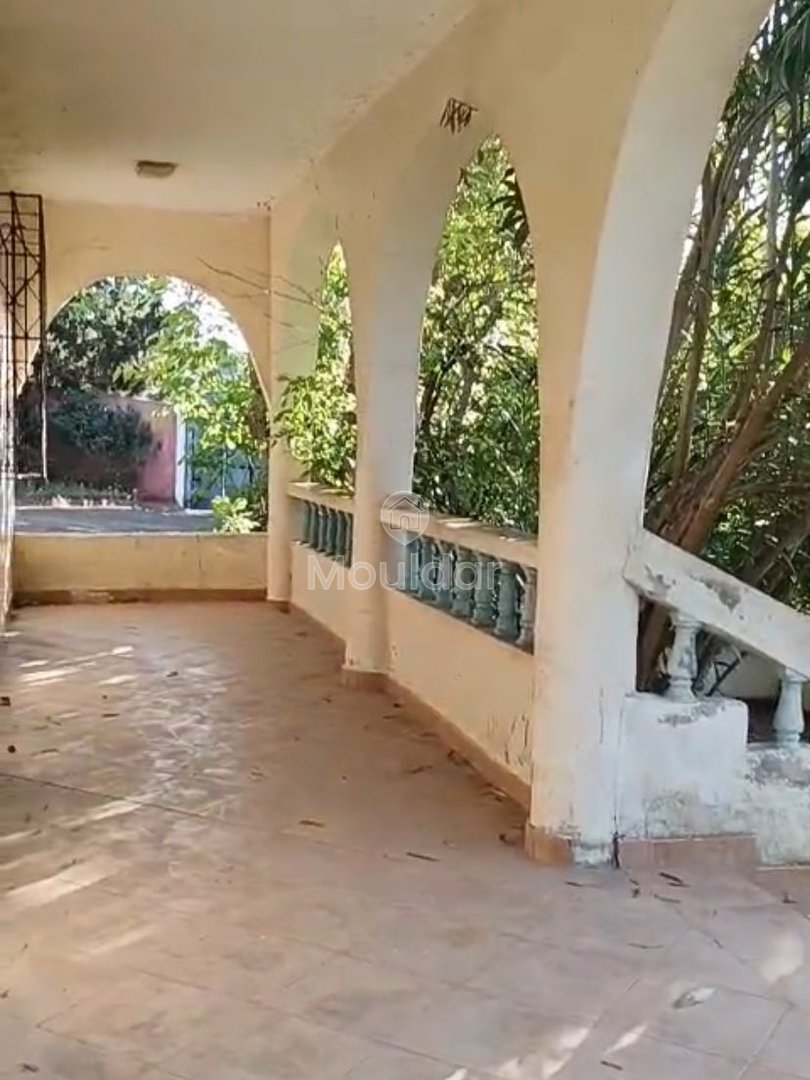 Οικία προς πώληση στην Ασίλα: εξαιρετικός χώρος 16.000 τ.μ. - Photo 8