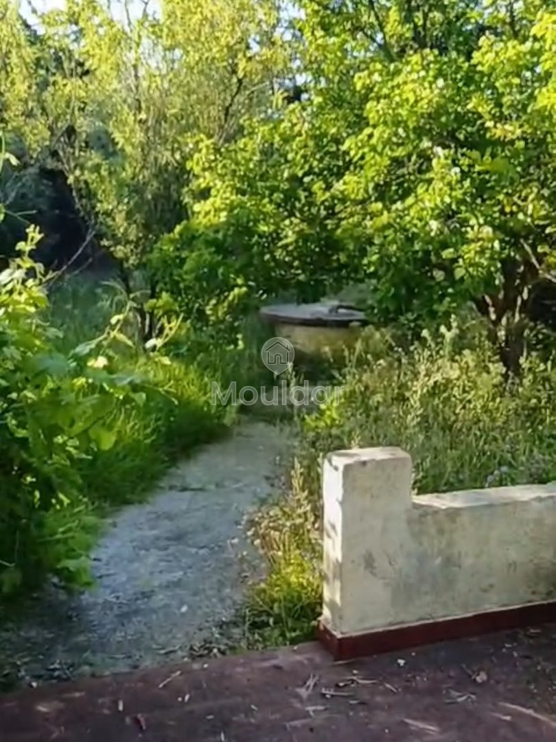 Οικία προς πώληση στην Ασίλα: εξαιρετικός χώρος 16.000 τ.μ. - Photo 5