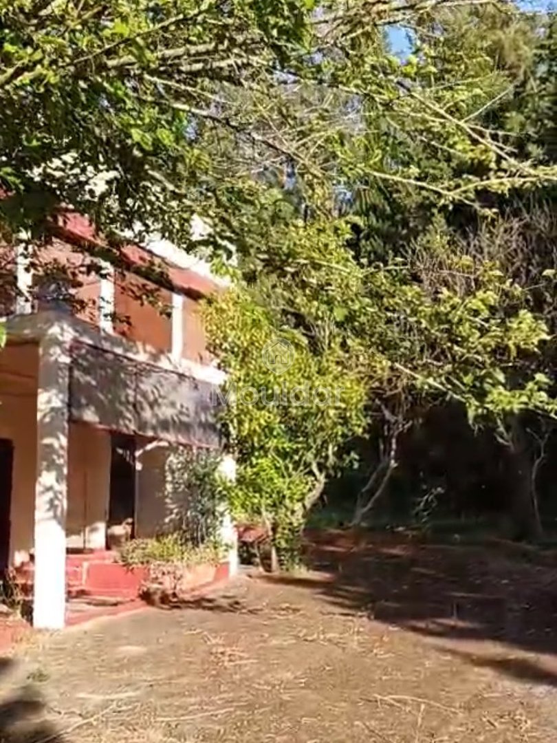 Οικία προς πώληση στην Ασίλα: εξαιρετικός χώρος 16.000 τ.μ. - Photo 2