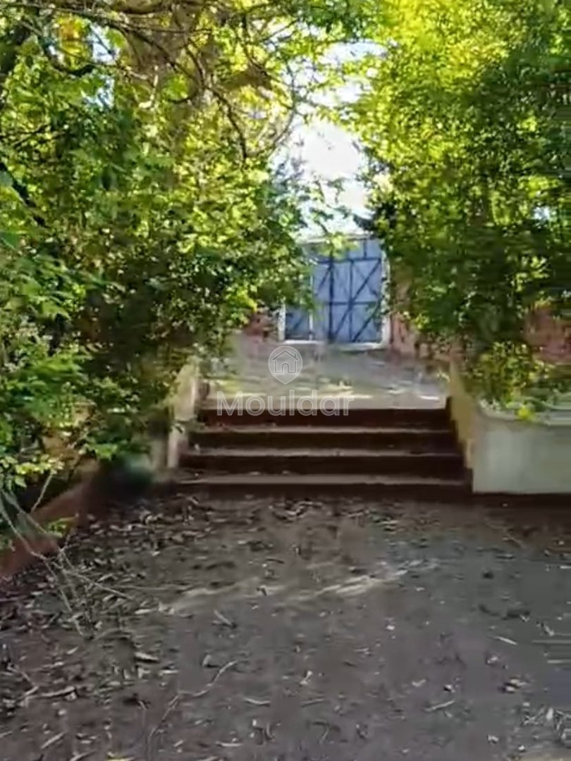 Οικία προς πώληση στην Ασίλα: εξαιρετικός χώρος 16.000 τ.μ. - Photo 1