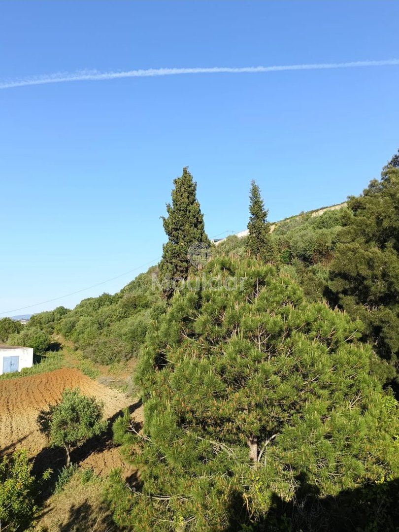 Οικία προς πώληση στην Ασίλα: εξαιρετικός χώρος 16.000 τ.μ. - Photo 9