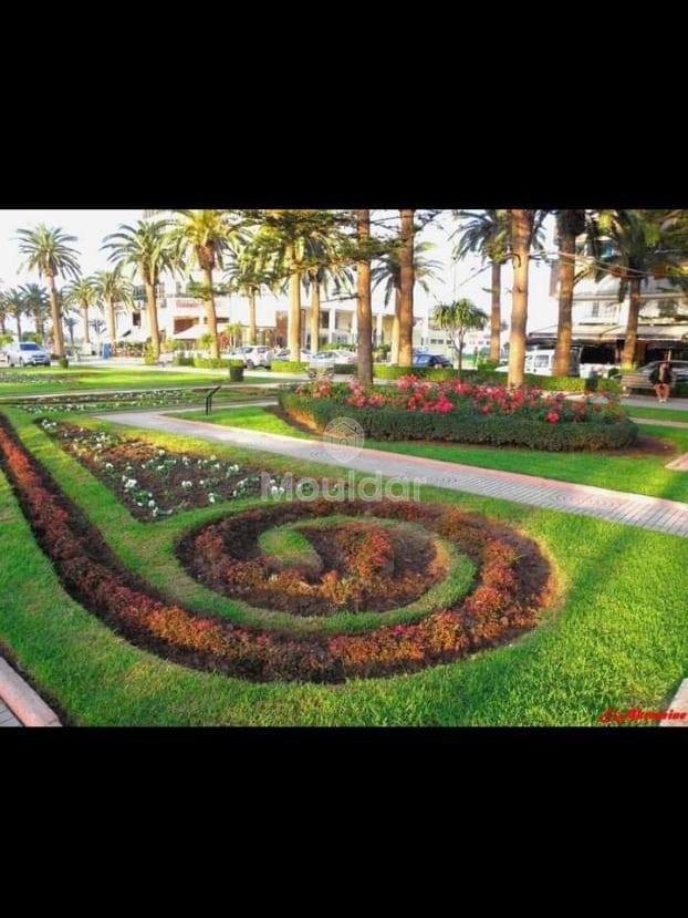 هروب إلى المحمدية: شقة من غرفتين في الحديقة - Photo 7