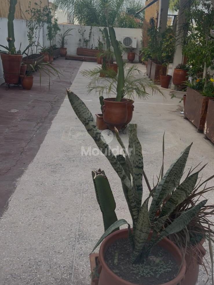 Βίλα προς πώληση στο Τάντζερ: 6 υπνοδωμάτια, 364 m² κύρους - Photo 4