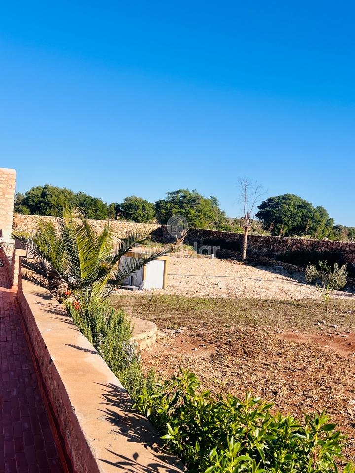 Villa d'Exception à Essaouira : Luxe et Espace Invincibles - Photo 21