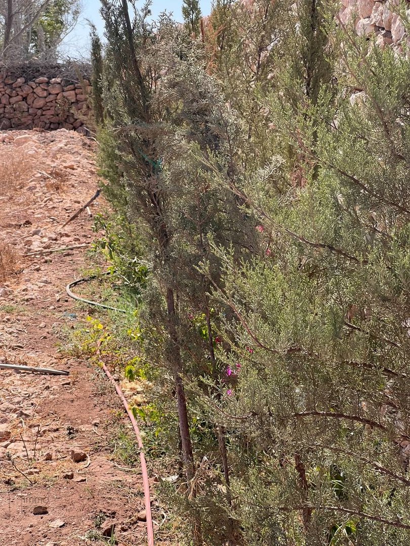 Villa d'exception route safi 5 chambres - Photo 39