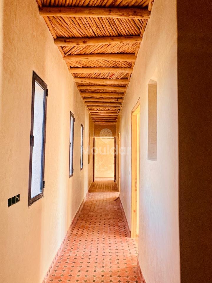 Villa d'Exception à Essaouira : Luxe et Espace Invincibles - Photo 22