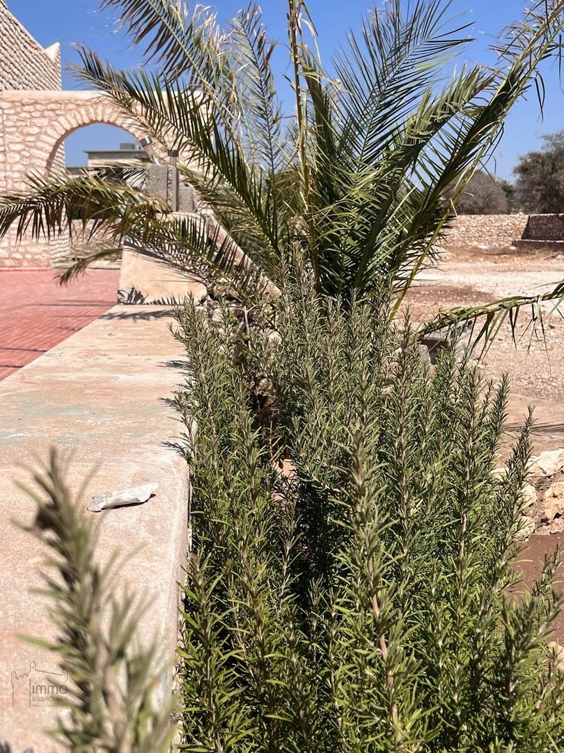 Villa d'exception route safi 5 chambres - Photo 15