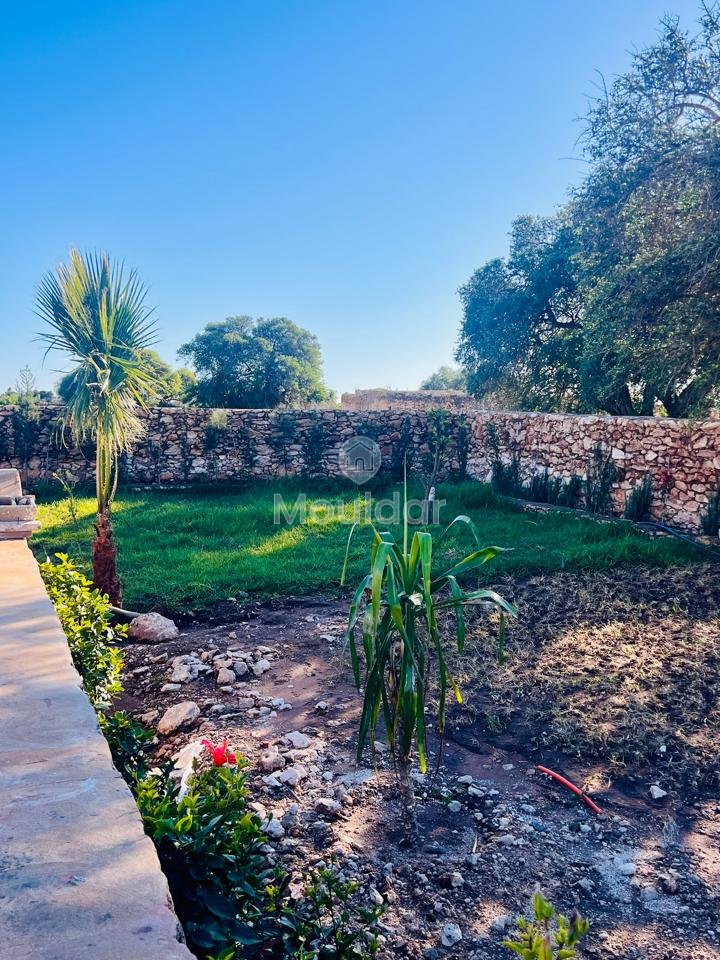 Villa d'Exception à Essaouira : Luxe et Espace Invincibles - Photo 4