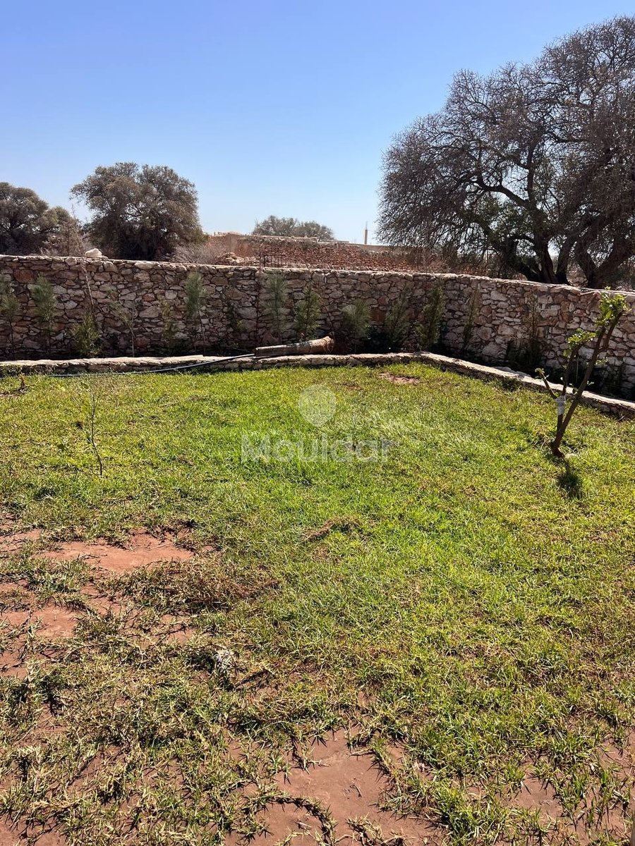 Villa d'Exception à Essaouira : Luxe et Espace Invincibles - Photo 14