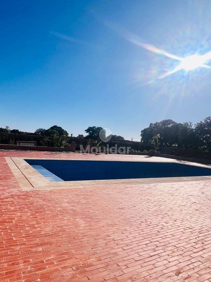 Villa d'Exception à Essaouira : Luxe et Espace Invincibles - Photo 45