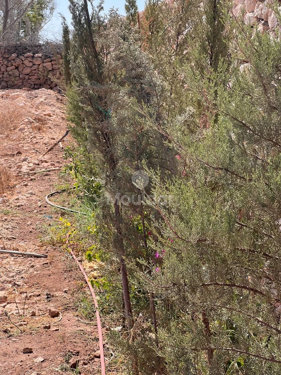 Villa d'Exception à Essaouira : Luxe et Espace Invincibles - Photo 39