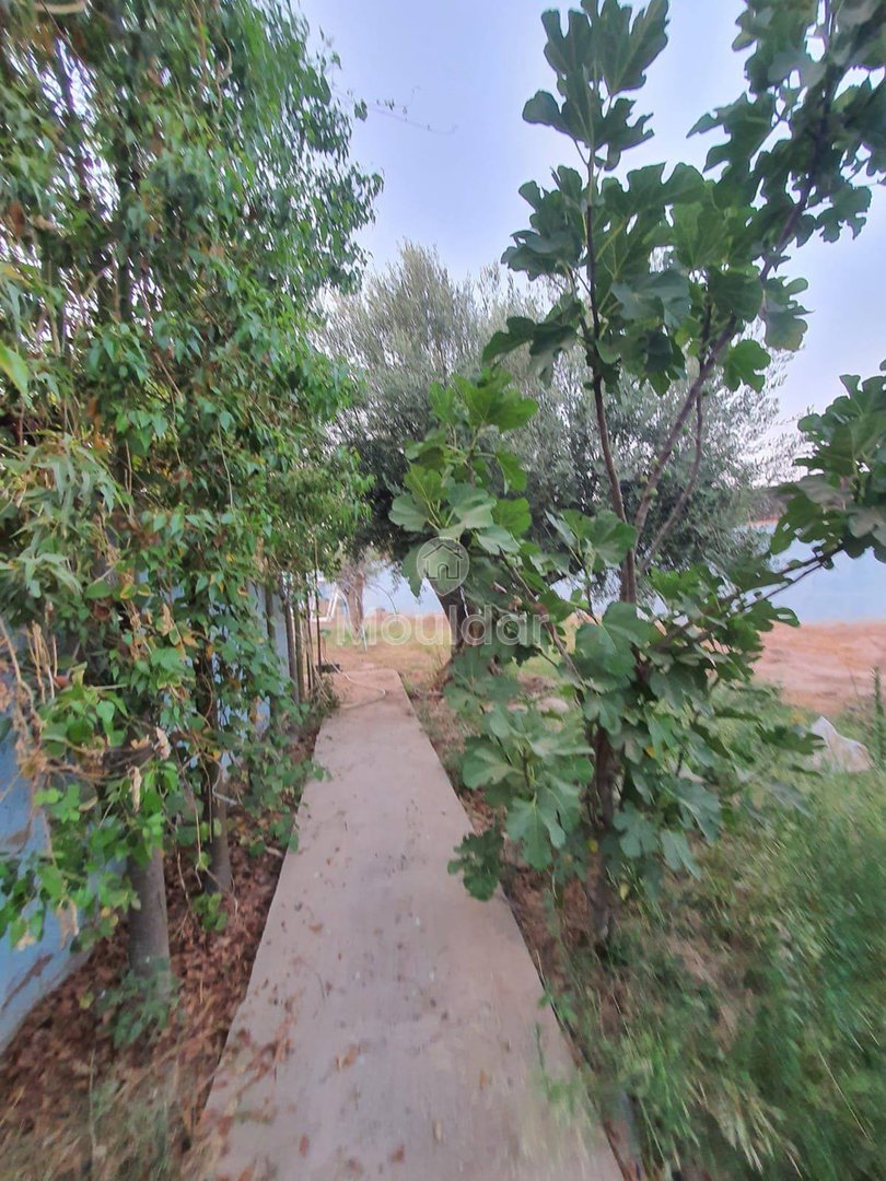 بيع أرض زراعية في مراكش: 1738م² من الفرص - Photo 1