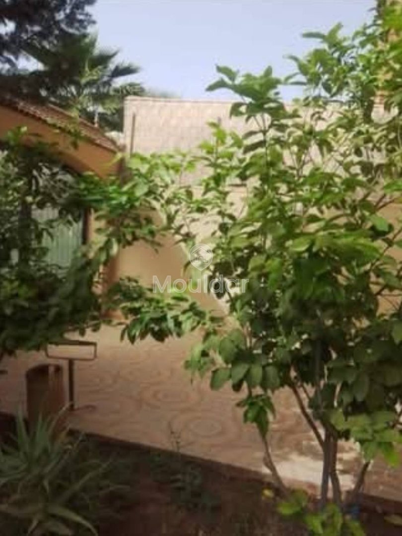 فيلا استثنائية للبيع في مراكش - تارجا: 4 غرف نوم - Photo 2