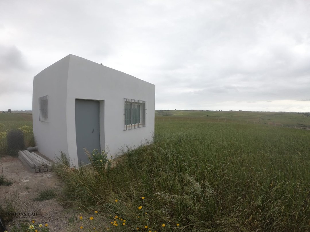 Terrain agricole titré de 3 Héctares à Asilah - Photo 7