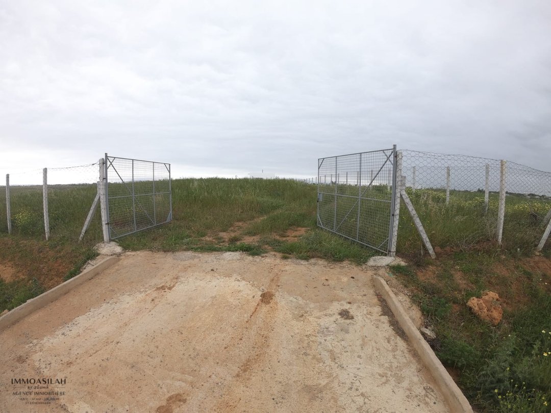 Terrain agricole titré de 3 Héctares à Asilah - Photo 6