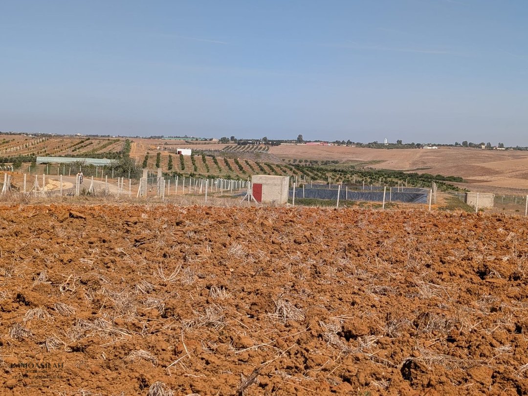 Terrain agricole titré de 3 Héctares à Asilah - Photo 11