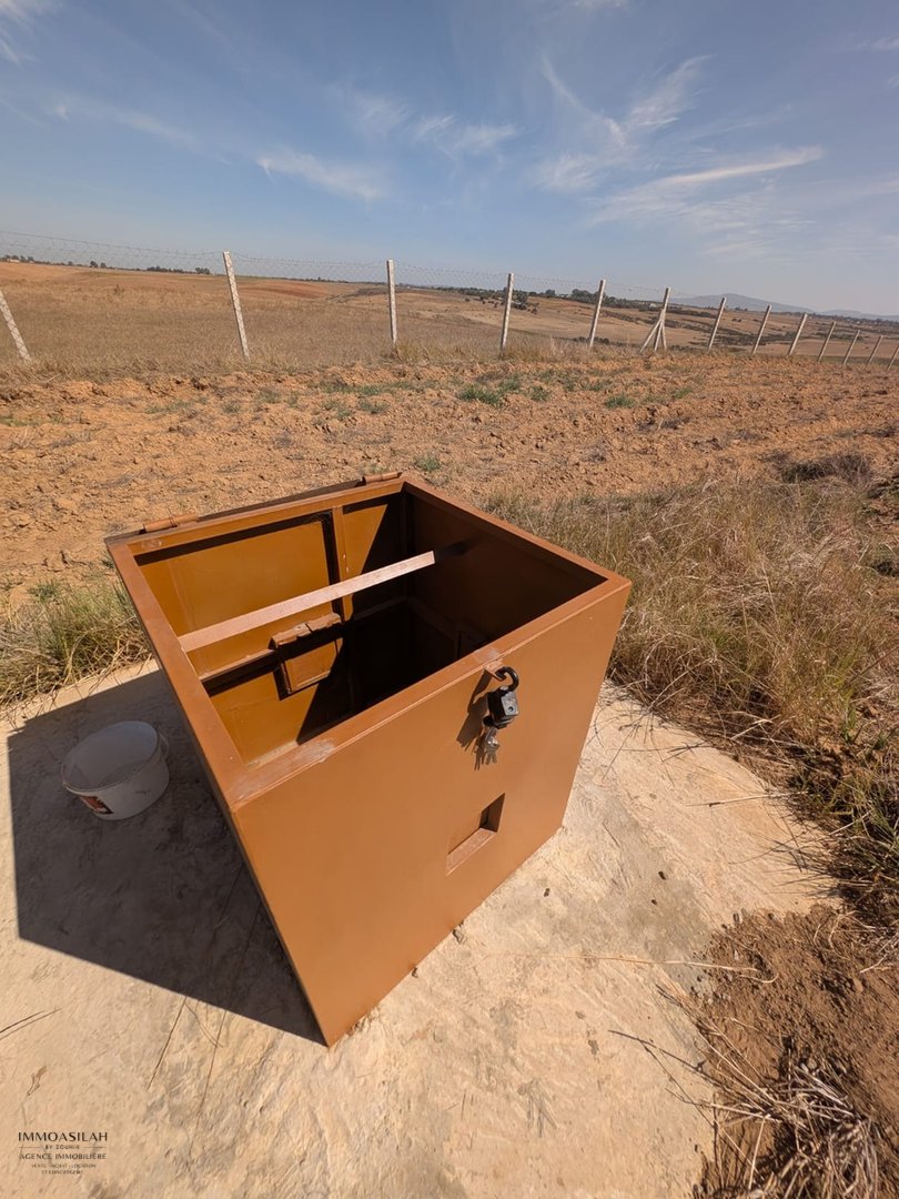 Terrain agricole titré de 3 Héctares à Asilah - Photo 9