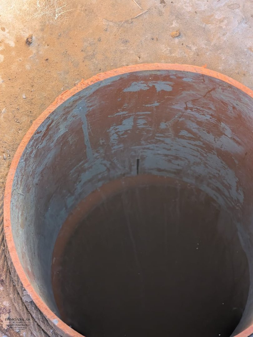 Terrain agricole titré de 3 Héctares à Asilah - Photo 5