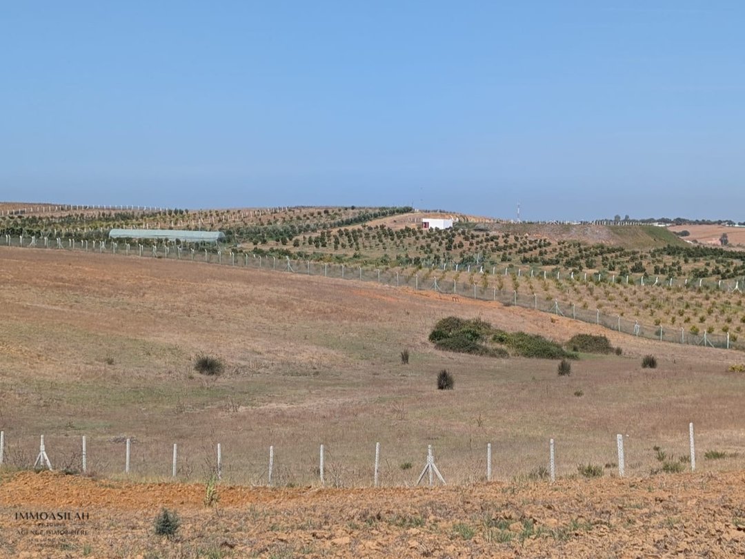 Terrain agricole titré de 3 Héctares à Asilah - Photo 1