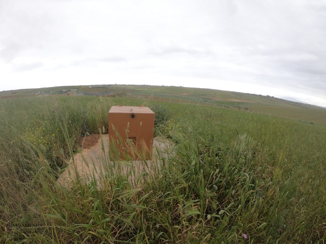 Terrain agricole titré de 3 Héctares à Asilah - Photo 8