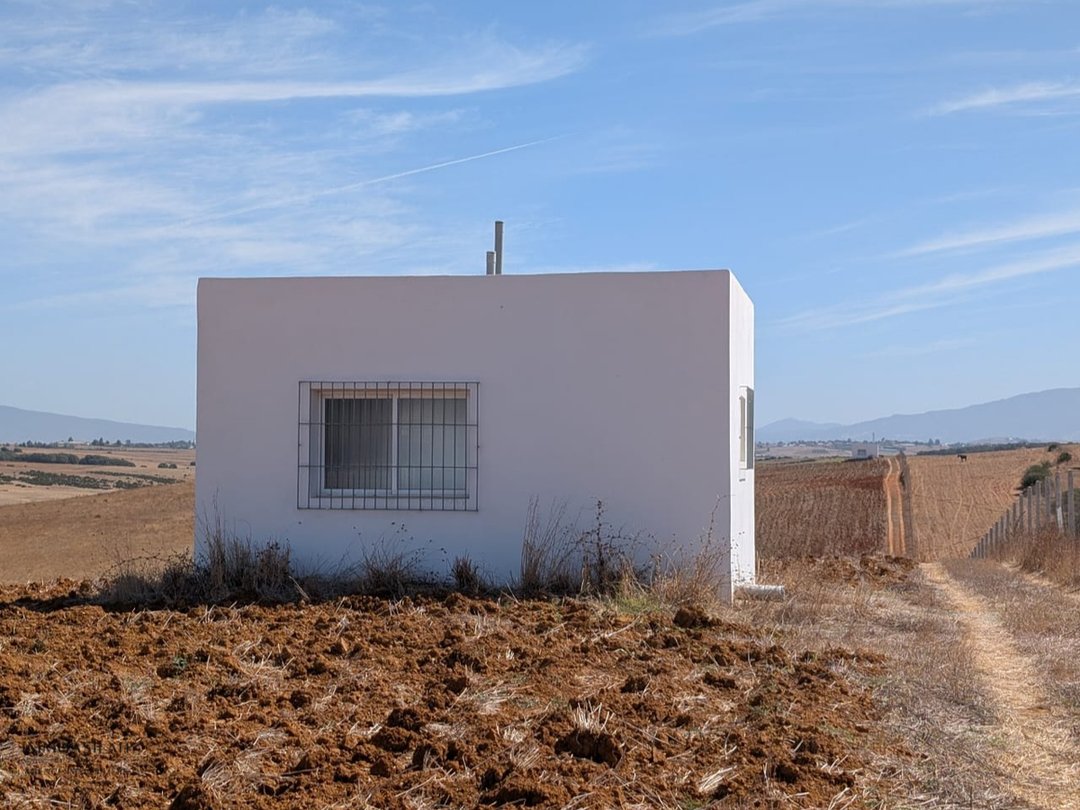 Terrain agricole titré de 3 Héctares à Asilah - Photo 2