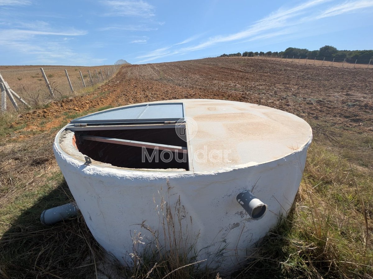 Terrain Agricole Titulaire de 3 Hectares à Vendre à Asilah - Photo 8