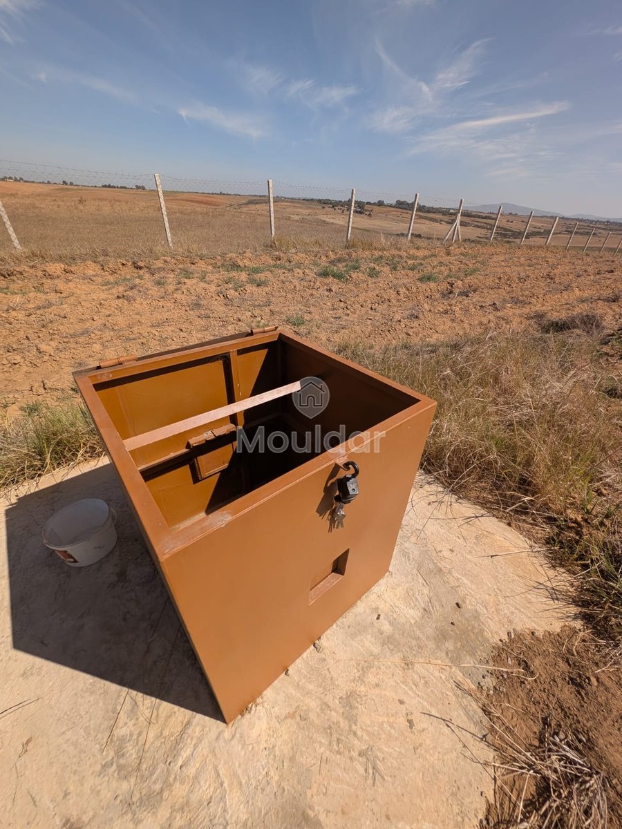 Terrain Agricole Titulaire de 3 Hectares à Vendre à Asilah - Photo 10