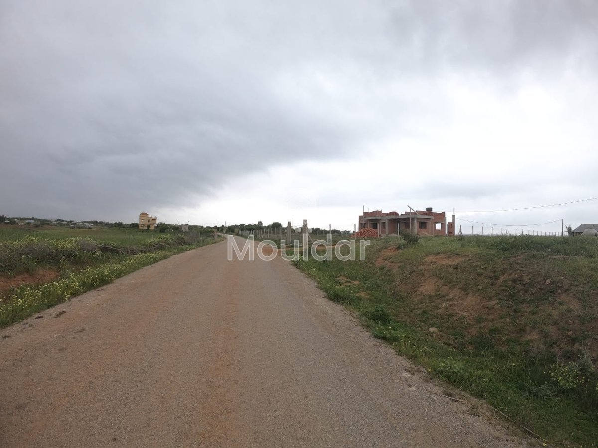 Terrain Agricole Titulaire de 3 Hectares à Vendre à Asilah - Photo 3