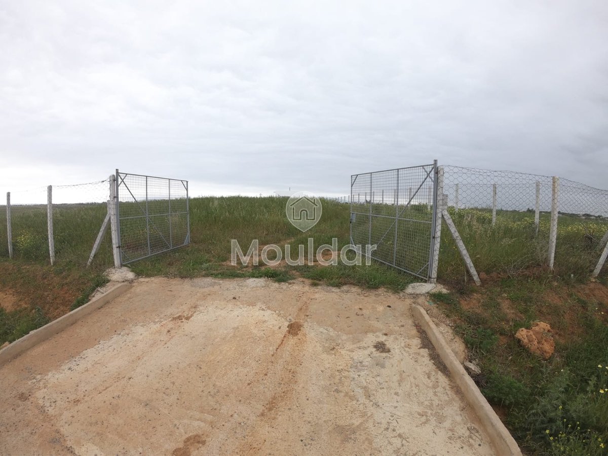 Terrain Agricole Titulaire de 3 Hectares à Vendre à Asilah - Photo 6