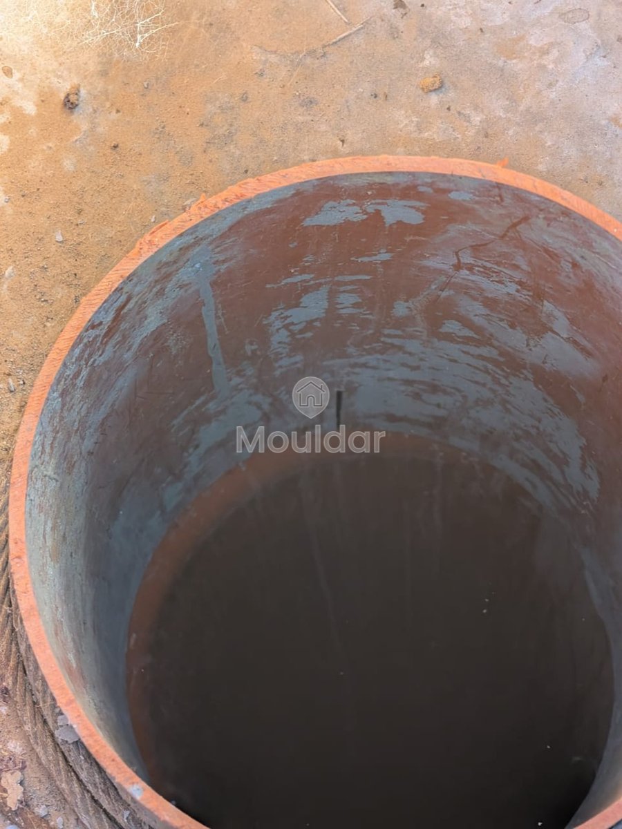 Terrain Agricole Titulaire de 3 Hectares à Vendre à Asilah - Photo 5