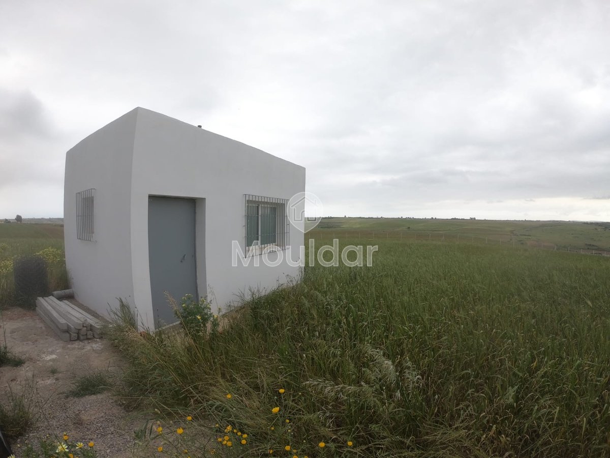 Terrain Agricole Titulaire de 3 Hectares à Vendre à Asilah - Photo 7
