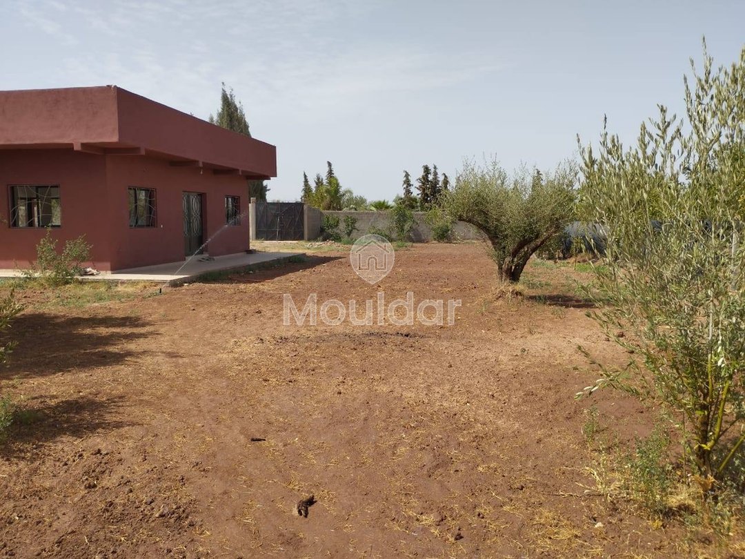 منزل استثنائي للبيع في مراكش - 2800م² من السحر - Photo 18