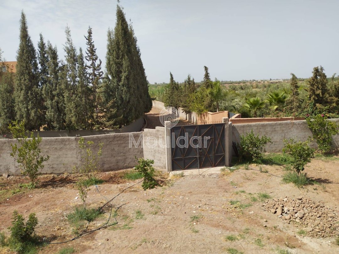 منزل استثنائي للبيع في مراكش - 2800م² من السحر - Photo 17