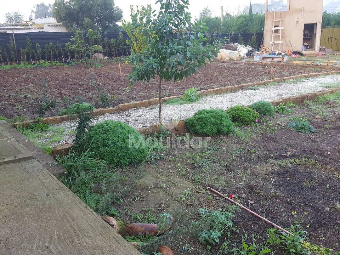 Satılık çiftlik: Casablanca ile El Jadida arasında 3500 m², mükemmel konum! - Photo 4