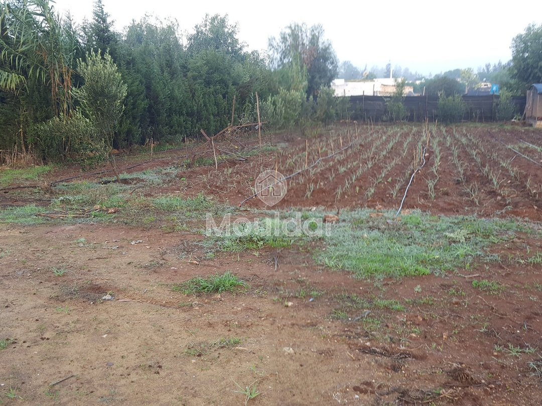 Satılık çiftlik: Casablanca ile El Jadida arasında 3500 m², mükemmel konum! - Photo 3