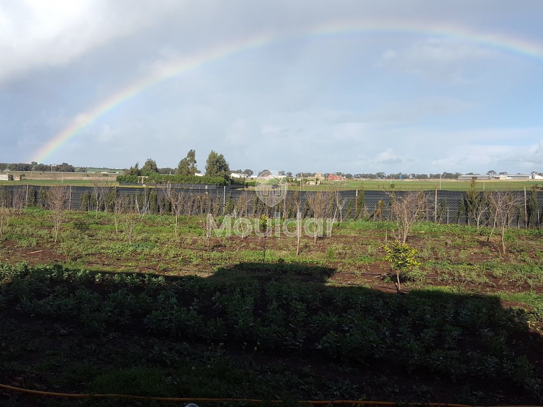 Satılık çiftlik: Casablanca ile El Jadida arasında 3500 m², mükemmel konum! - Photo 1