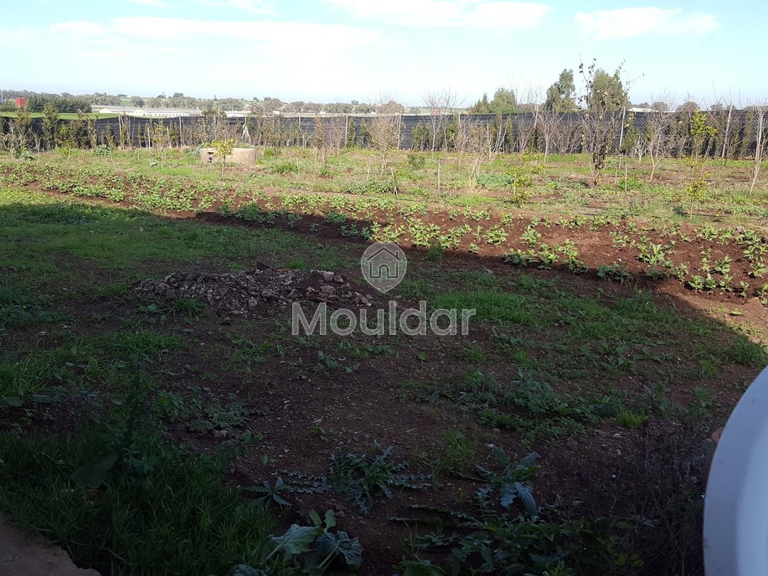 Satılık çiftlik: Casablanca ile El Jadida arasında 3500 m², mükemmel konum! - Photo 2